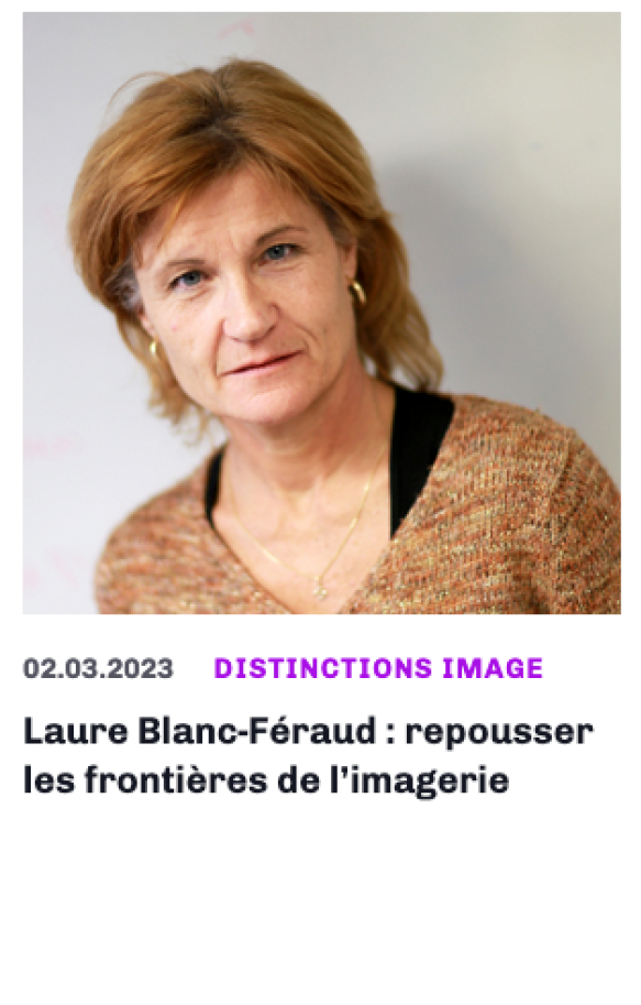 https://www.ins2i.cnrs.fr/fr/cnrsinfo/laure-blanc-feraud-repousser-les-frontieres-de-limagerie