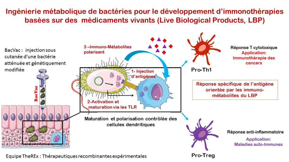 Image retirée.